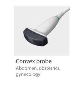 Convex Probe