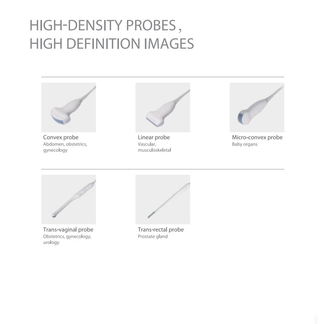 DAWEI DW-580 Laptop B/W Diagnostic Ultrasound Device with multiple probe options for different clinical applications